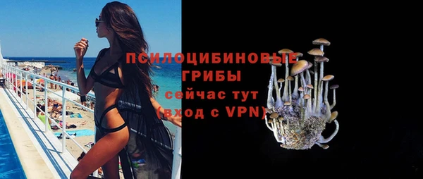 прущий лед Абаза