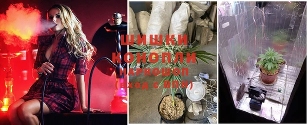 спиды Абинск