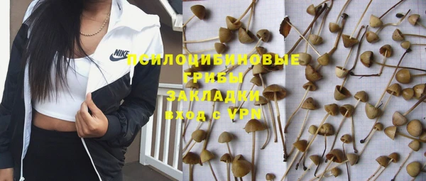 прущий лед Абаза