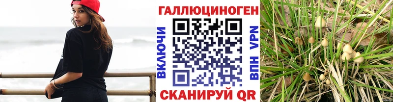 маркетплейс официальный сайт  Стерлитамак  Псилоцибиновые грибы Magic Shrooms 